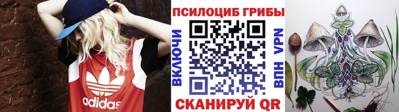 Галлюциногенные грибы прущие грибы  OMG маркетплейс  Райчихинск 